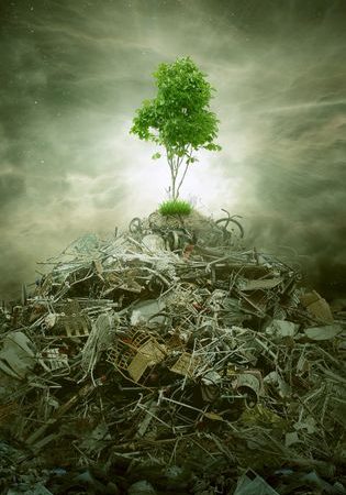 Green concept as a leaf tree on top of mountain heap of garbage with roots as an environment or conservation icon for waste management or new healthy beginning